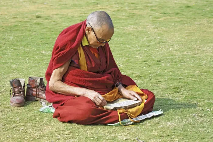 Gerahmter Druck : Buddhistischer Mönch liest Schriften. Gerahmter Druck : Buddhistischer Mönch liest Schriften.