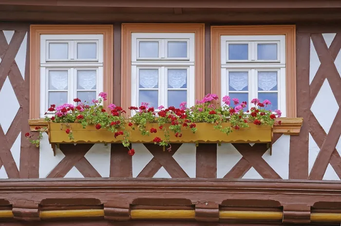 Gerahmter Druck : Fenster in Wernigerode Gerahmter Druck : Fenster in Wernigerode