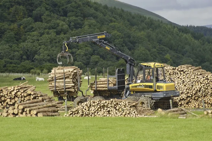 Gerahmter Druck : Holzstämme auf Anhänger laden.