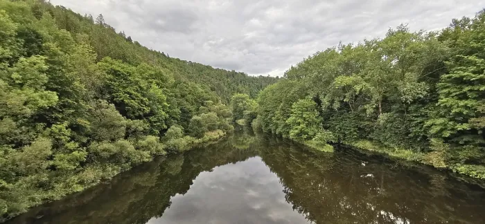Gerahmter Druck : Ein Fluss fließt durch einen dichten Wald. Gerahmter Druck : Ein Fluss fließt durch einen dichten Wald.