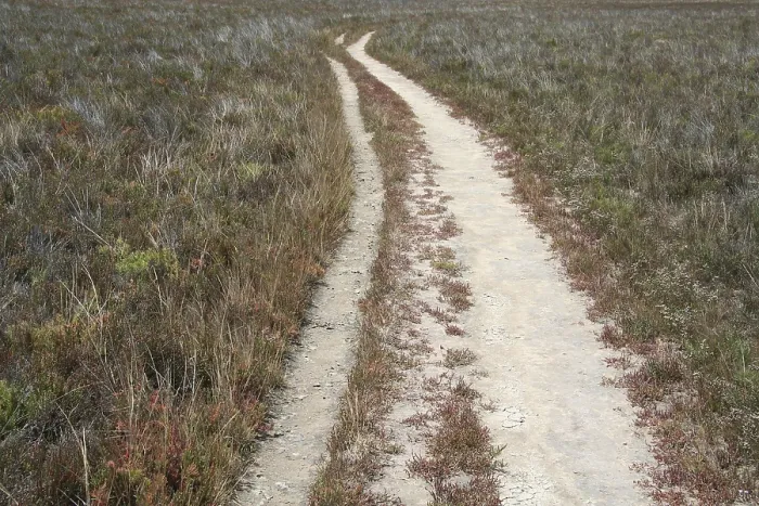 Gerahmter Druck : Bewaldeter Feldweg in der Landschaft Gerahmter Druck : Bewaldeter Feldweg in der Landschaft