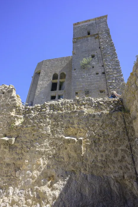 Gerahmter Druck : Schloss der Katharer Queribus, Cucugnan Gerahmter Druck : Schloss der Katharer Queribus, Cucugnan