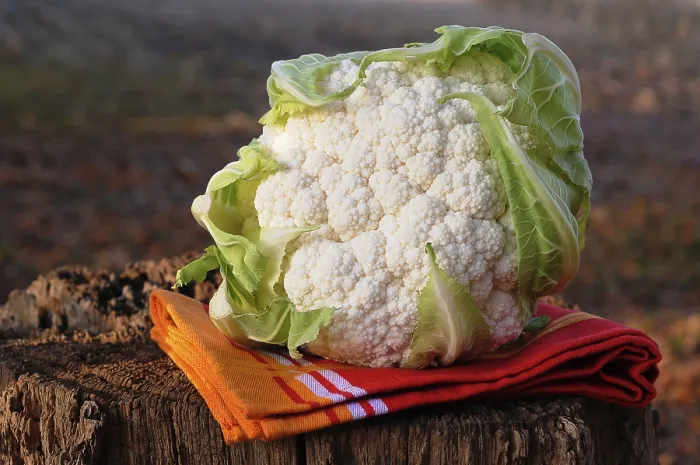 Gerahmter Druck : Cauliflower Gerahmter Druck : Cauliflower