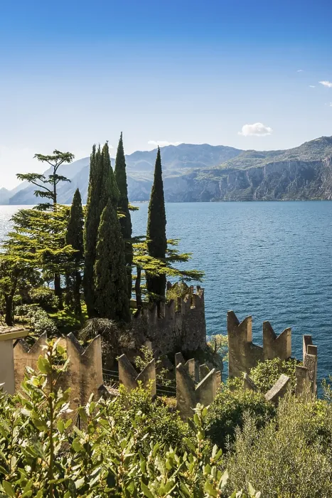 Gerahmter Druck : Zedern und Zypressen, Malcesine. Gerahmter Druck : Zedern und Zypressen, Malcesine.