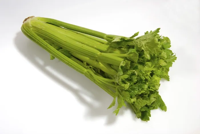 Gerahmter Druck : Celery Gerahmter Druck : Celery