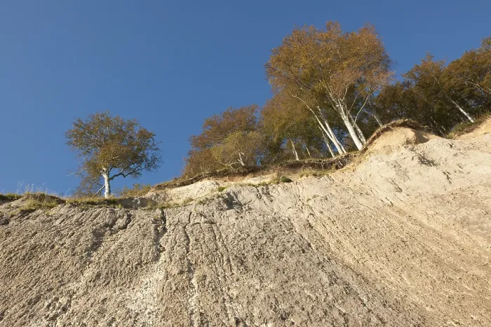 Gerahmter Druck : Kalkklippen und ein Buchenwald im Herbst. Gerahmter Druck : Kalkklippen und ein Buchenwald im Herbst.