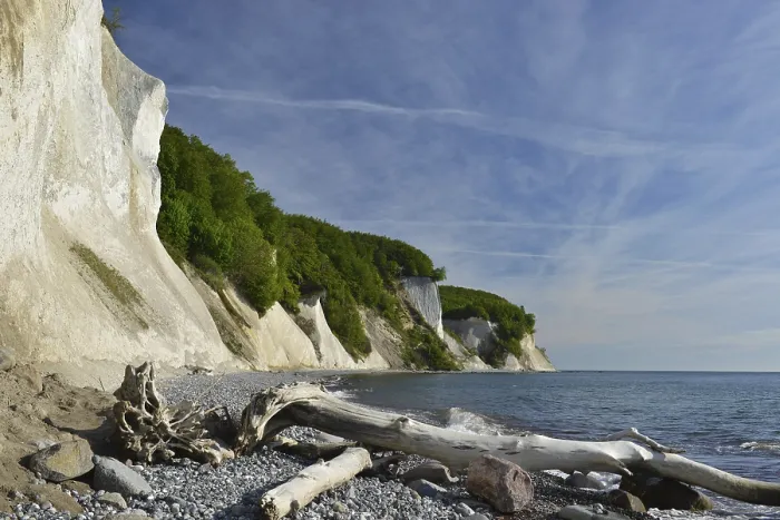 Gerahmter Druck : Die Kalkklippen von Rügen. Gerahmter Druck : Die Kalkklippen von Rügen.