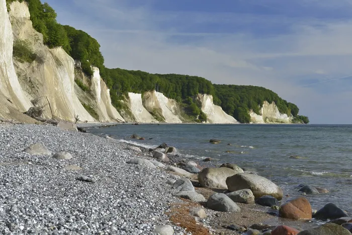 Gerahmter Druck : Die Kalkklippen von Rügen. Gerahmter Druck : Die Kalkklippen von Rügen.