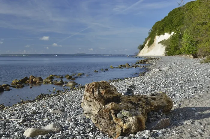 Gerahmter Druck : Die Kalkklippen von Rügen. Gerahmter Druck : Die Kalkklippen von Rügen.