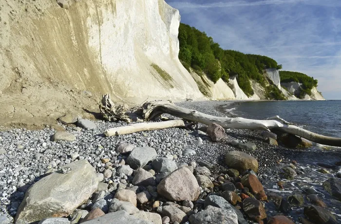 Gerahmter Druck : Die Kalkklippen von Rügen. Gerahmter Druck : Die Kalkklippen von Rügen.