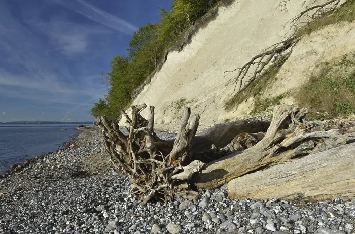 Gerahmter Druck : Die Kalkklippen von Rügen. Gerahmter Druck : Die Kalkklippen von Rügen.