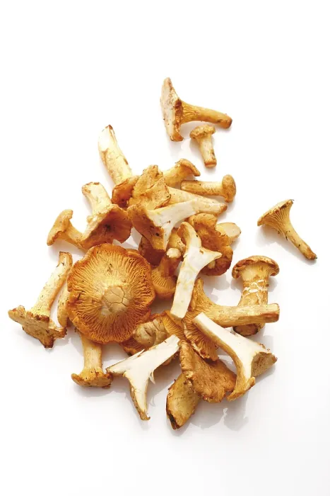 Gerahmter Druck : Chanterelles Gerahmter Druck : Chanterelles