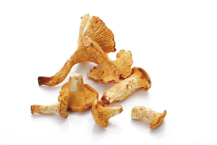 Gerahmter Druck : Chanterelles Gerahmter Druck : Chanterelles