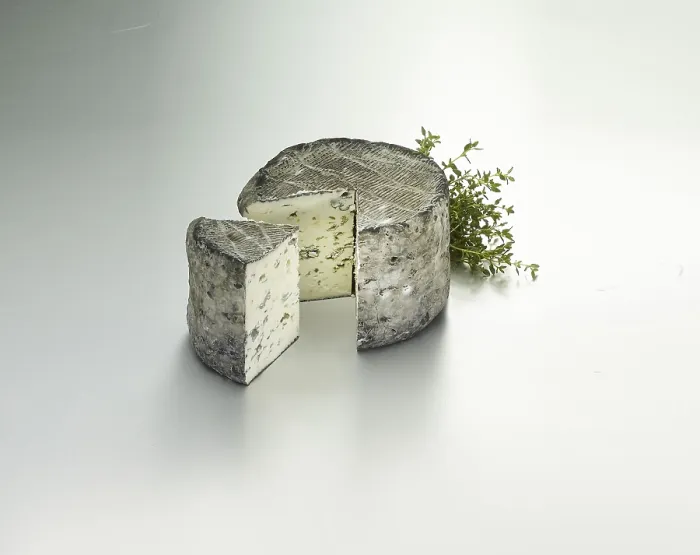 Gerahmter Druck : Käse auf einem hellen Hintergrund, mit Thymian verziert. Gerahmter Druck : Käse auf einem hellen Hintergrund, mit Thymian verziert.