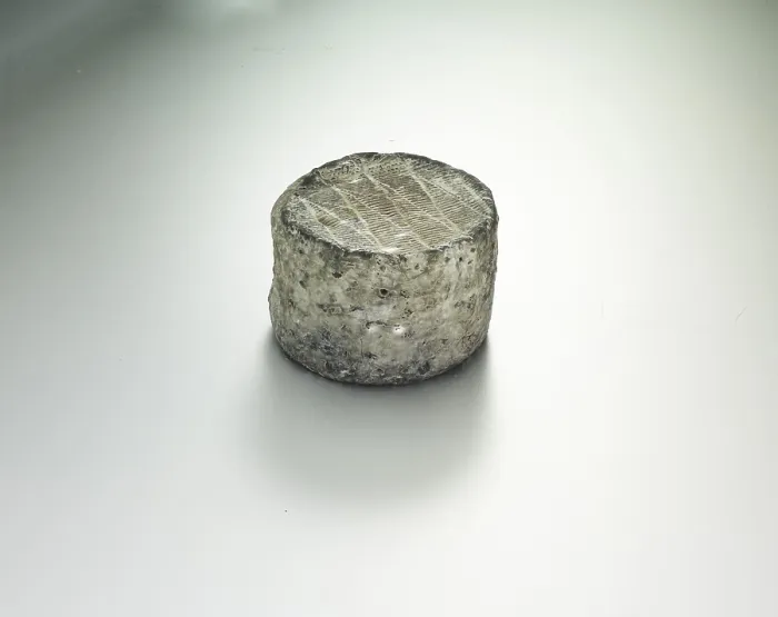 Gerahmter Druck : Käse auf einem hellen Hintergrund, Studioaufnahme.