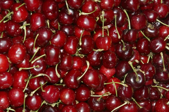 Gerahmter Druck : Cherries Gerahmter Druck : Cherries