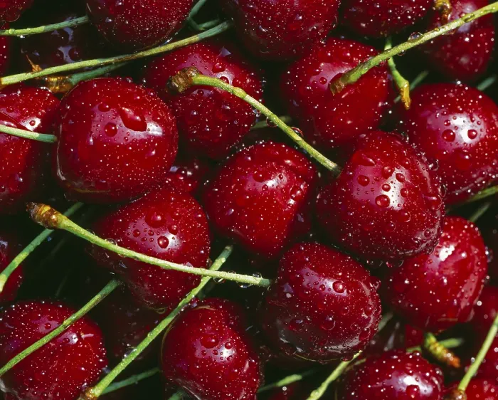 Gerahmter Druck : Cherries