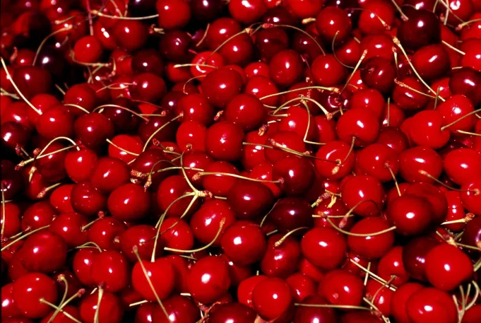 Gerahmter Druck : Cherries Gerahmter Druck : Cherries