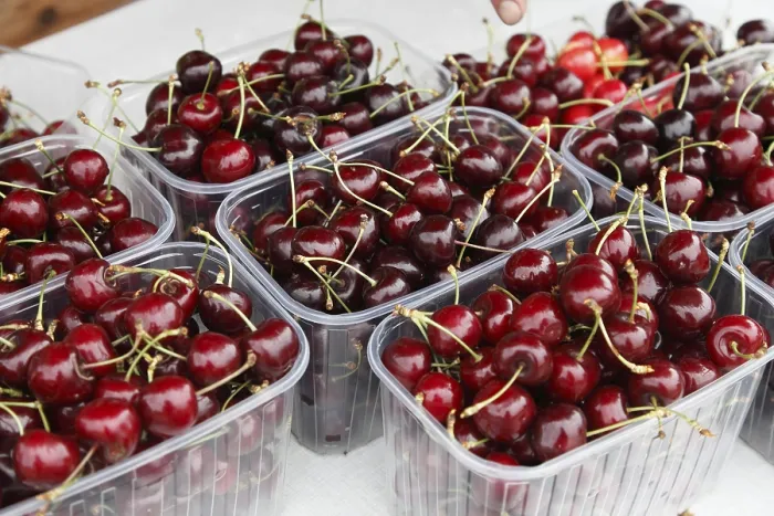 Gerahmter Druck : Kirschen in Plastikbehältern. Gerahmter Druck : Kirschen in Plastikbehältern.