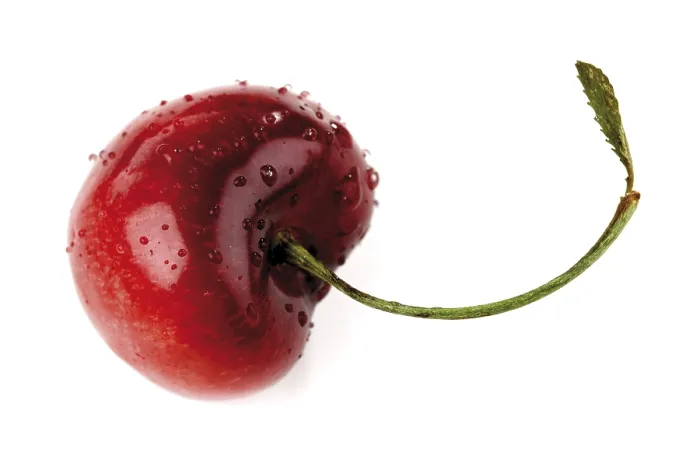 Gerahmter Druck : Cherry Gerahmter Druck : Cherry