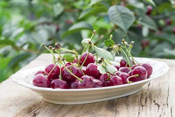 Gerahmter Druck : Cherry Gerahmter Druck : Cherry