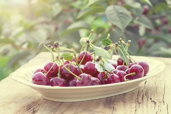 Gerahmter Druck : Cherry Gerahmter Druck : Cherry