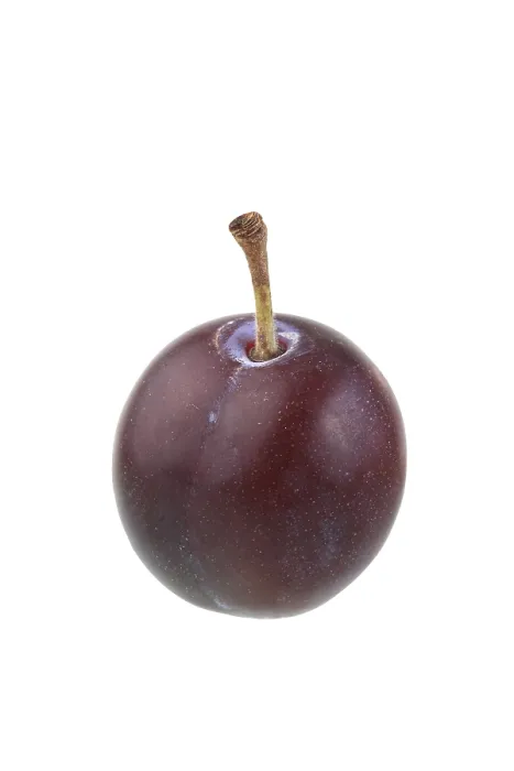 Gerahmter Druck : Pflaumenapfel, Myrobalane Gerahmter Druck : Pflaumenapfel, Myrobalane