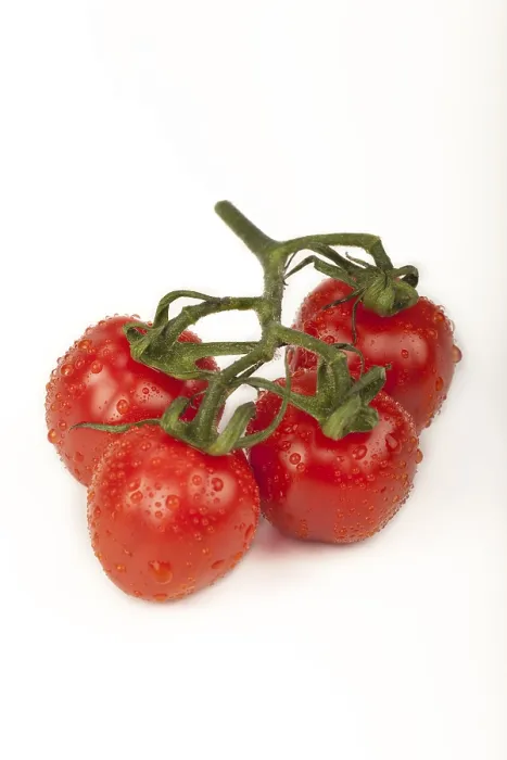 Gerahmter Druck : Kirschtomaten Gerahmter Druck : Kirschtomaten