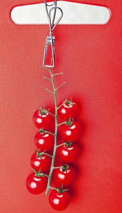 Gerahmter Druck : Kirschtomaten Gerahmter Druck : Kirschtomaten