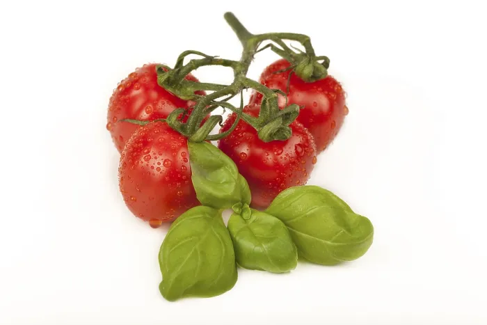 Gerahmter Druck : Kirschtomaten mit Basilikum. Gerahmter Druck : Kirschtomaten mit Basilikum.