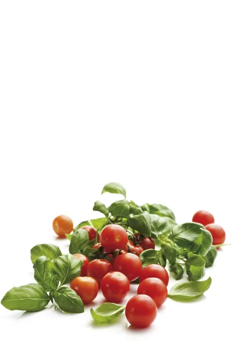 Gerahmter Druck : Kirschtomaten mit Basilikum. Gerahmter Druck : Kirschtomaten mit Basilikum.