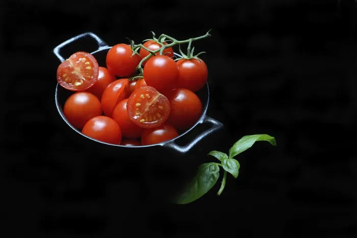 Gerahmter Druck : Kirschtomaten in Töpfen, Kirschtomate. Gerahmter Druck : Kirschtomaten in Töpfen, Kirschtomate.