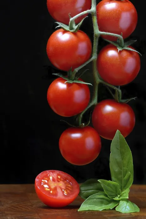 Gerahmter Druck : Kirschtomaten auf einem Stab, Kirschtomate. Gerahmter Druck : Kirschtomaten auf einem Stab, Kirschtomate.