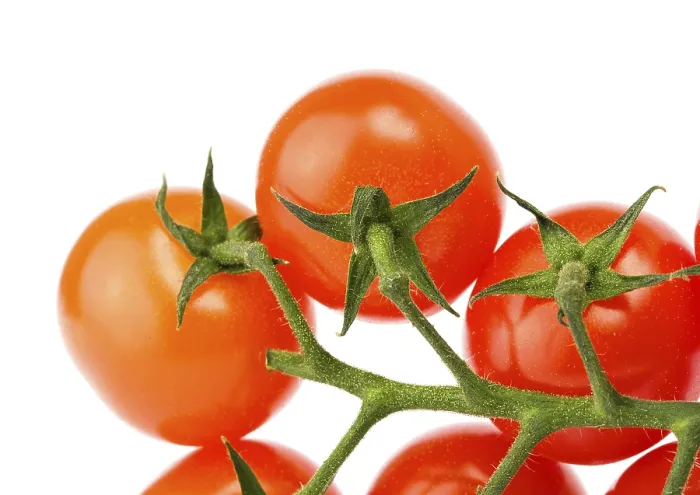 Gerahmter Druck : Tomaten auf Weiß. Gerahmter Druck : Tomaten auf Weiß.