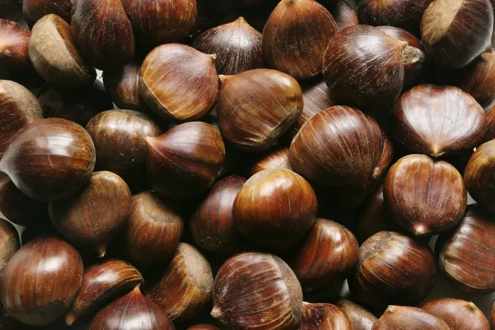 Gerahmter Druck : Chestnuts Gerahmter Druck : Chestnuts