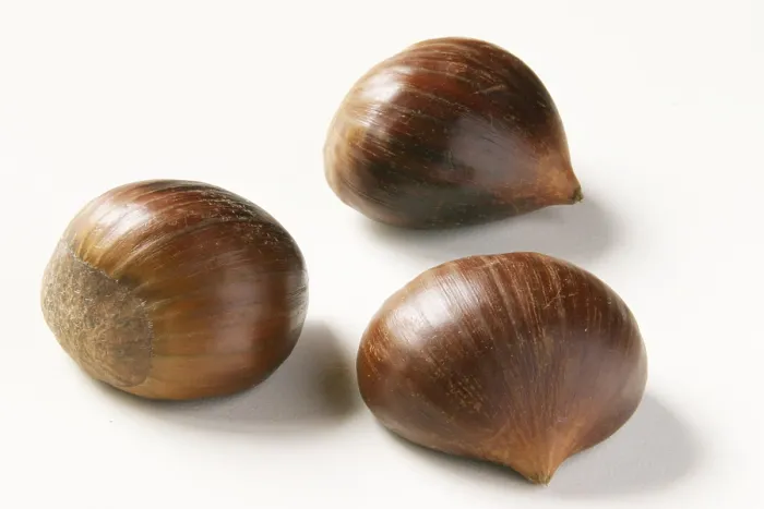 Gerahmter Druck : Chestnuts Gerahmter Druck : Chestnuts