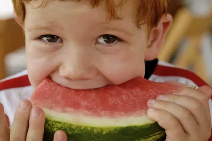 Gerahmter Druck : Ein Kind beißt in eine Wassermelone. Gerahmter Druck : Ein Kind beißt in eine Wassermelone.
