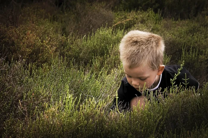 Gerahmter Druck : Kind in der Natur Gerahmter Druck : Kind in der Natur