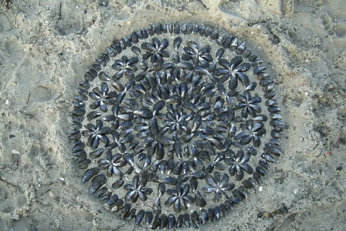 Gerahmter Druck : Kinder spielen am Strand. Gerahmter Druck : Kinder spielen am Strand.