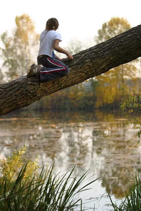 Gerahmter Druck : Das Kind sitzt hoch auf einem Baum. Gerahmter Druck : Das Kind sitzt hoch auf einem Baum.
