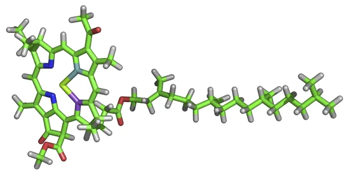Gerahmter Druck : Chlorophyll-Molekül Gerahmter Druck : Chlorophyll-Molekül