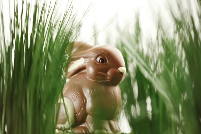Gerahmter Druck : Schokoladen-Osterhase im Gras. Gerahmter Druck : Schokoladen-Osterhase im Gras.