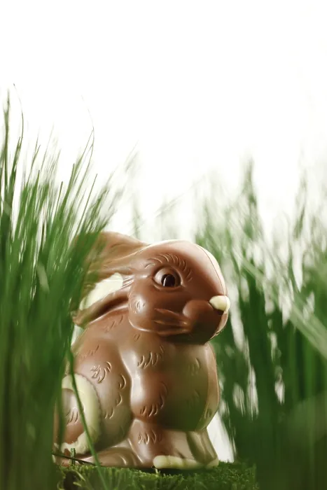 Gerahmter Druck : Schokoladen-Osterhase im Gras. Gerahmter Druck : Schokoladen-Osterhase im Gras.