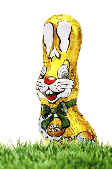 Gerahmter Druck : Schokoladen-Osterhase auf Gras. Gerahmter Druck : Schokoladen-Osterhase auf Gras.