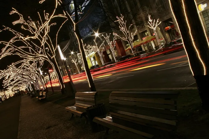 Gerahmter Druck : Weihnachtsdekorationen auf Bäumen. Gerahmter Druck : Weihnachtsdekorationen auf Bäumen.