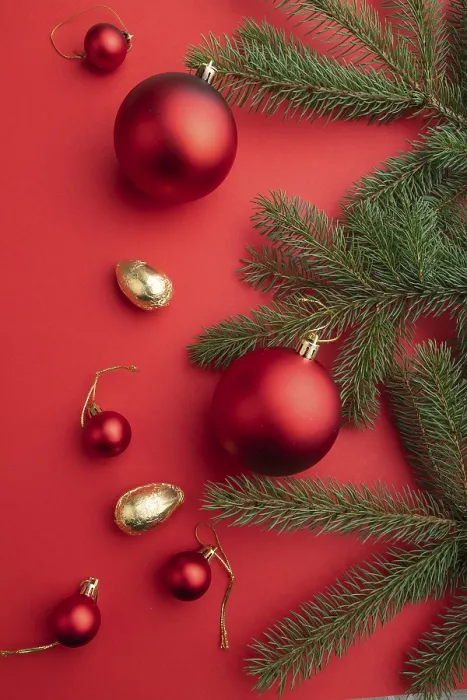 Gerahmter Druck : Weihnachts- oder Silvester-Komposition Gerahmter Druck : Weihnachts- oder Silvester-Komposition