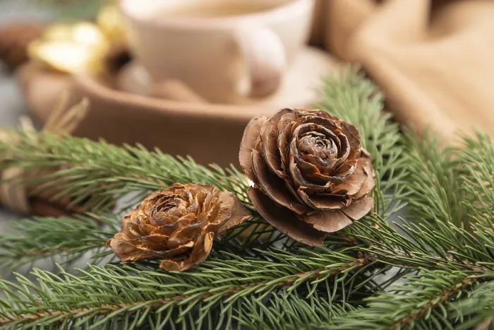 Gerahmter Druck : Weihnachts- oder Neujahrs-Komposition Gerahmter Druck : Weihnachts- oder Neujahrs-Komposition