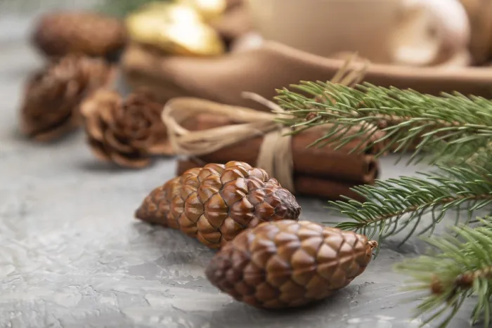 Gerahmter Druck : Weihnachts- oder Neujahrs-Komposition Gerahmter Druck : Weihnachts- oder Neujahrs-Komposition