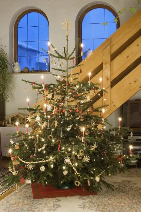 Gerahmter Druck : Weihnachtsbaum Gerahmter Druck : Weihnachtsbaum