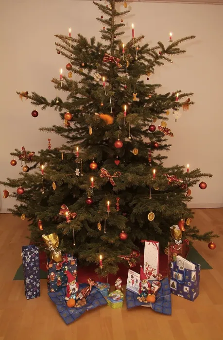 Gerahmter Druck : Weihnachtsbaum Gerahmter Druck : Weihnachtsbaum